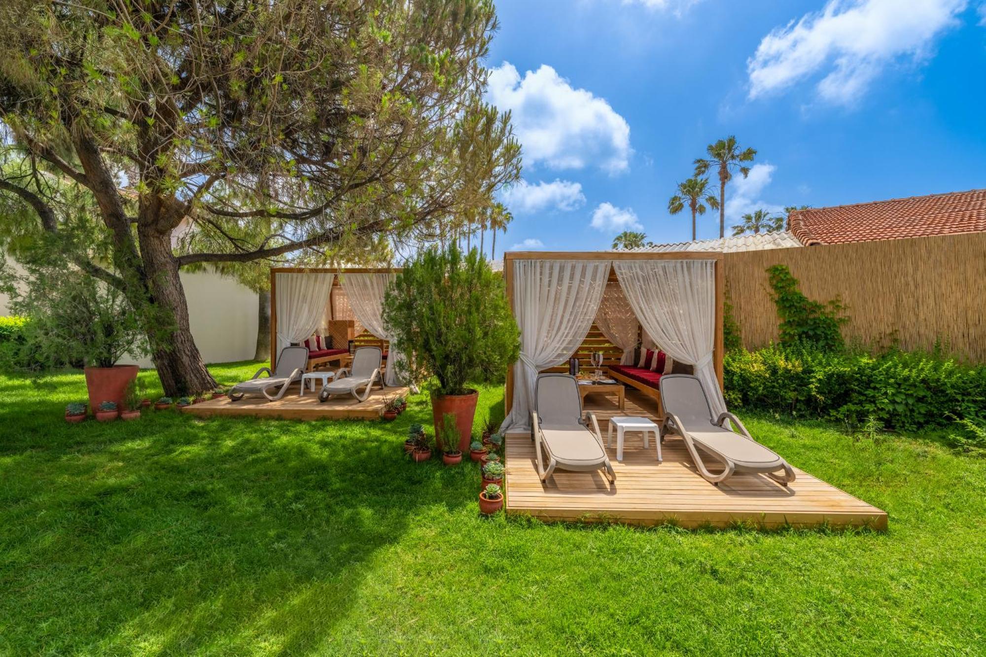 Trendy Palm Beach Adults Only Side Luaran gambar
